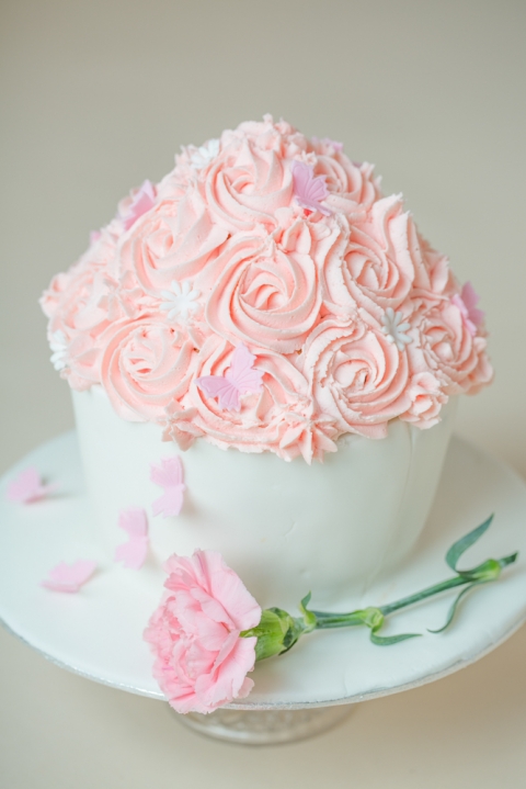 Cake Smash near me Bath 
